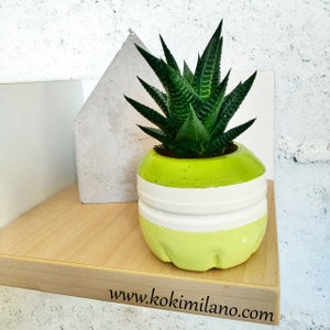 Può includere: Un vaso verde e bianco con una pianta grassa al suo interno. Il vaso è realizzato con una bottiglia di plastica riciclata. Il vaso è appoggiato su uno scaffale di legno.