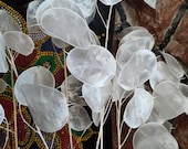 このショップの商品