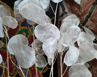 Gebleichte Lunaria Stiele Bündel: Boho Hochzeitsdeko, Silberdollar Pflanze