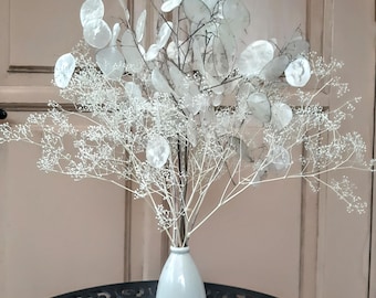 Getrocknete Lunaria-Stiele: Natürliche Silberdollar-Pflanze, gebleichtes Gypsophila