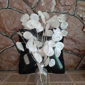 May include: A bouquet of dried, white, papery, round leaves in a clear glass bottle. The bottle is sitting on a tiled surface.