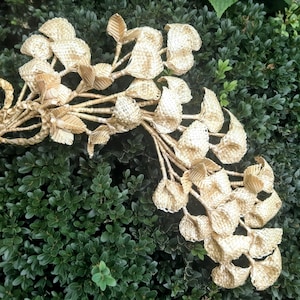 Wicker straw  branch, Unique flowers from straw, Weaving branch Straw ornaments, Folk art,Rustic wedding, Intricately Woven Straw Flowers