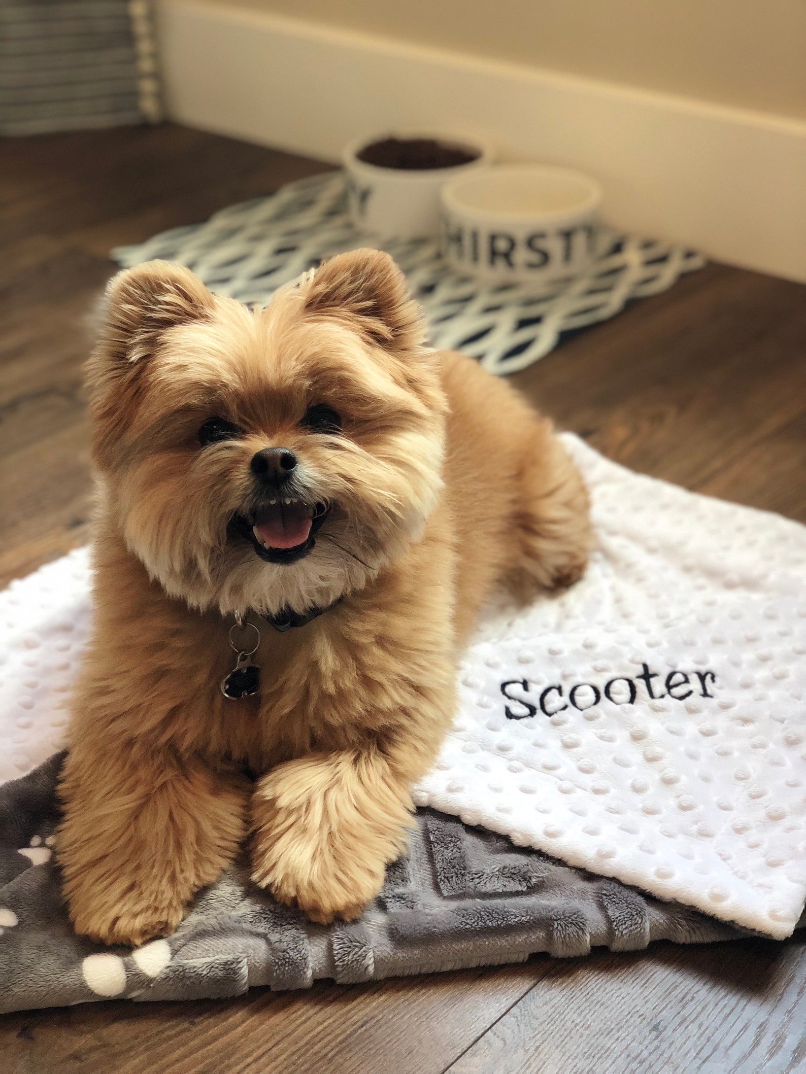 Pet Bed Blanket Personalized Pet Blanket Personalized Dog Etsy