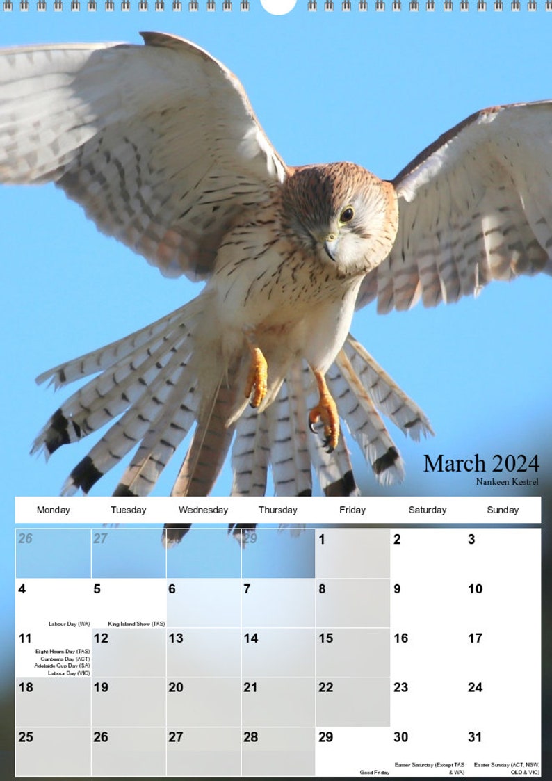 Australian Bird Calendar 2025 A3 Size With Hanger29.7cm X Etsy Australia