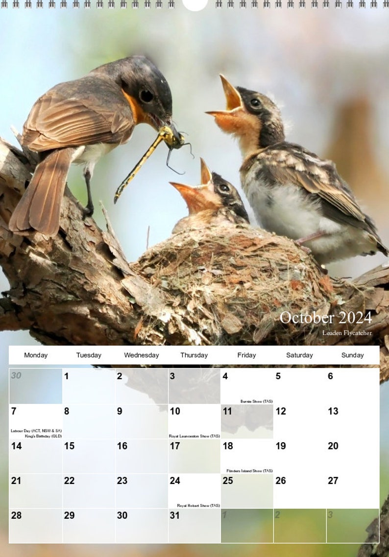 Australian Bird Calendar 2025 A3 Size With Hanger29.7cm X Etsy Australia