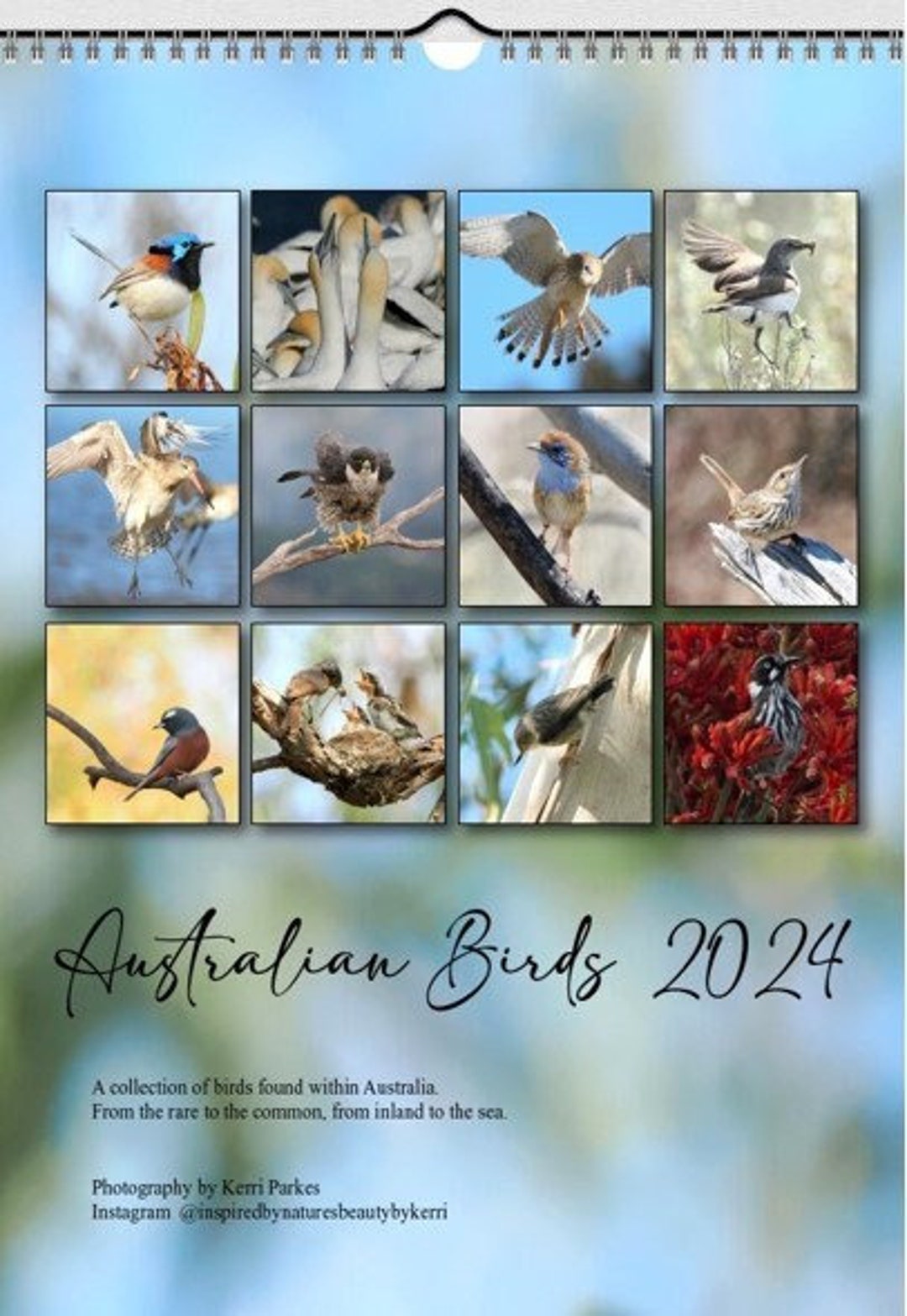 Australian Bird Calendar 2025 A3 Size With Hanger29.7cm X Etsy
