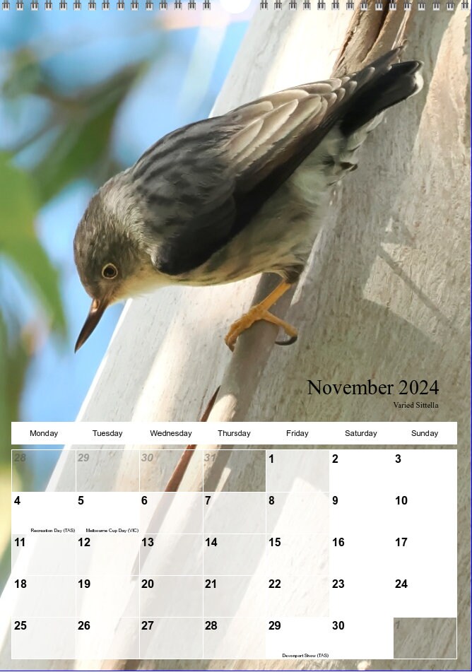 Australian Bird Calendar 2025 A3 Size With Hanger29.7cm X Etsy Australia
