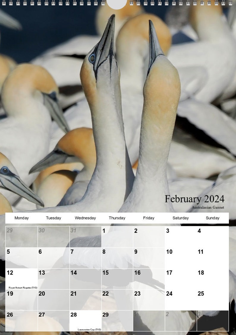 Australian Bird Calendar 2024 A4 Size With Hanger21cm X Etsy Australia