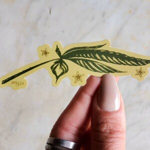 May include: A yellow sticker with a green leaf design and gold stars. The sticker has the text "ZARA" in the lower left corner.