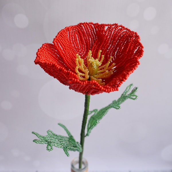 Beaded Poppie Flower, Field Poppy, Wildflowers, Single stem red poppy