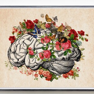 Brain Flower Anatomy Poster Butterfly Print Medical Clinical Biology Anatomical Printable  Instant Digital Download