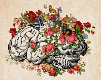 Brain Flower Anatomy Poster Butterfly Print Medical Clinical Biology Anatomical Printable  Instant Digital Download