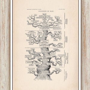 Tree of life by Haeckel Print Tree Of Life Wall Art Poster Evolution Nursery Print Animal Printable  Instant Digital Download