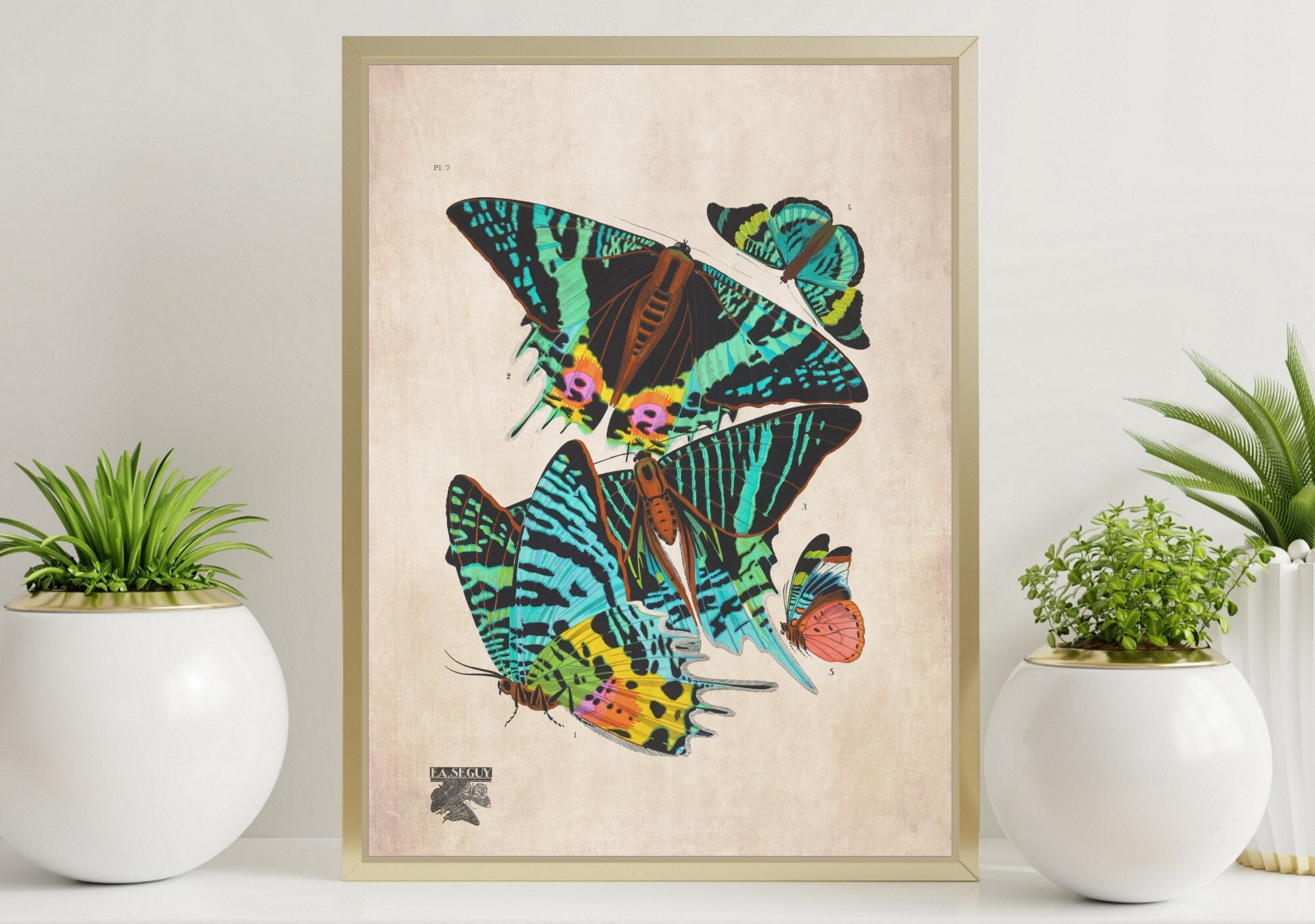 Butterfly Insect Vintage Decor Printable Moths Print Wall Art Decor ...