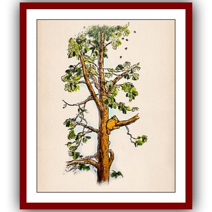 Winnie the Pooh climbs a Tree Winnie the Pooh Poster Color Vintage Classic Poster Nursery Printable Instant Digital Download