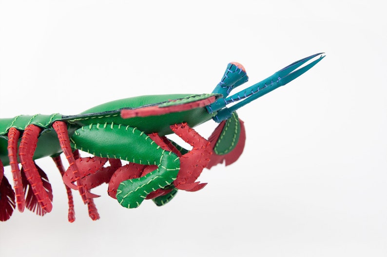 Handmade leather peacock mantis shrimp, Home decoration, collectable, aquatic art, stuffed animal, display art image 3