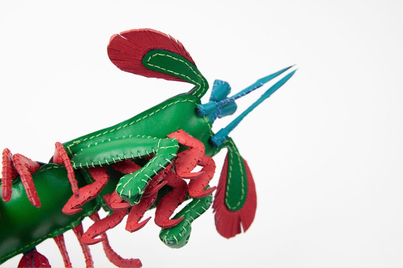Handmade leather peacock mantis shrimp, Home decoration, collectable, aquatic art, stuffed animal, display art image 4