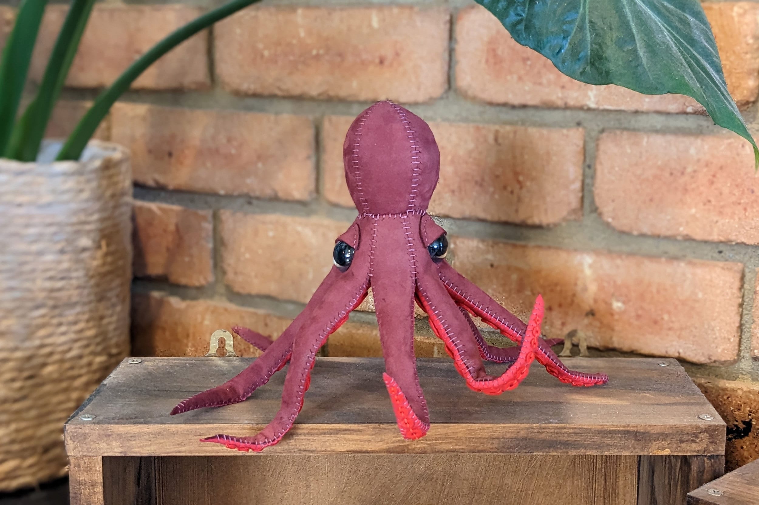 Limited Edition* Wine Leather Octopus With Suckers, Genuine