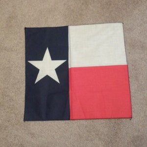 May include: A Texas state flag with a white star on a blue background, a white stripe, and a red stripe.