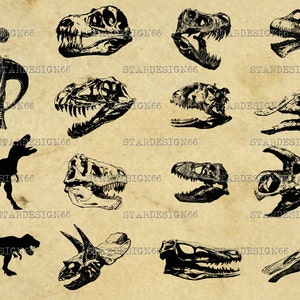 Digitale SVG PNG JPG Dinosauro con scheletro, t-rex e teschio, animale preistorico, silhouette, vettore, download istantaneo