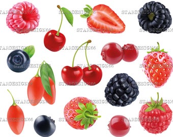 Digital EPS PNG JPG Different Berries, fruits, vector, clipart, silhouette, instant download