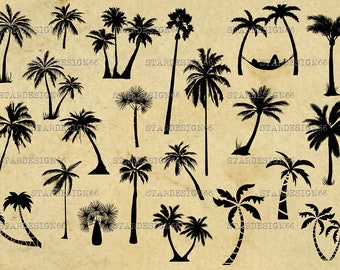 Palm Tree Printable Botanical Illustration Digital Download - Etsy