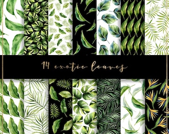 Exotic leaves digital paper, tropical leaves paper, tropical digital paper, tropical watercolor leaves, tropical background, banana leaf