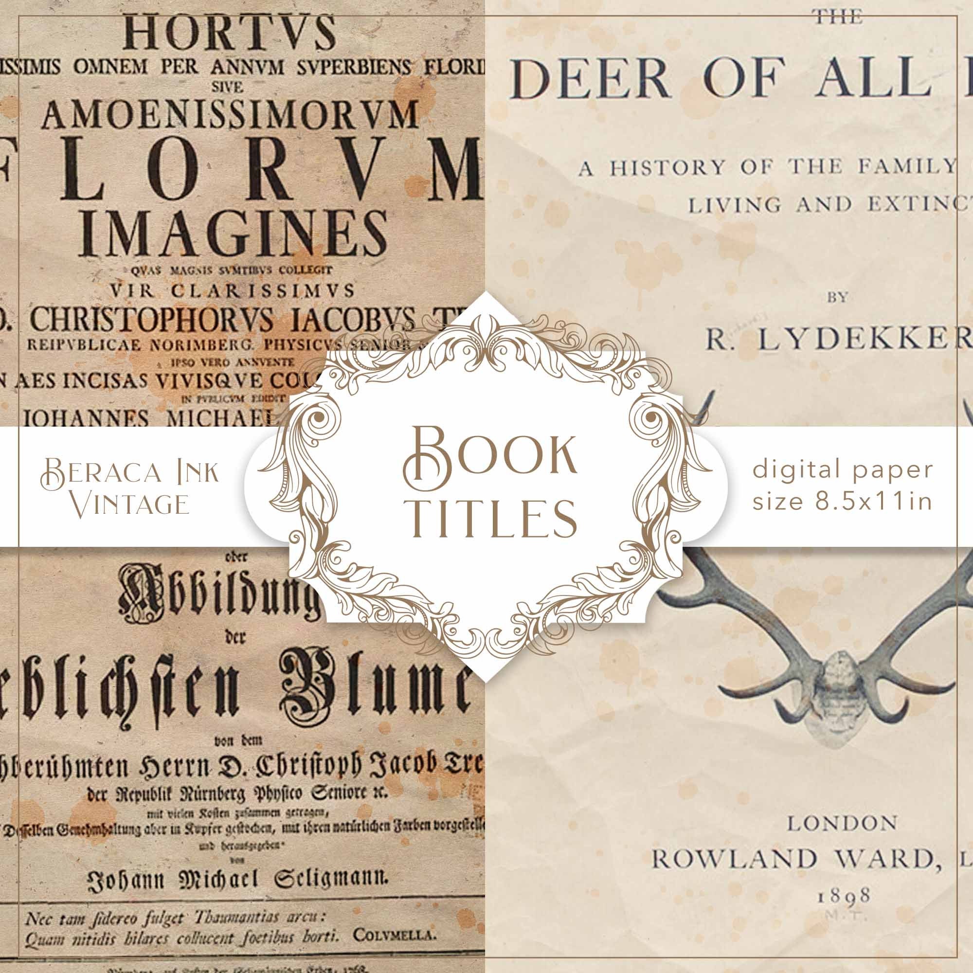 Book Titles Digital Paper, Vintage Paper, Grunge Wallpaper