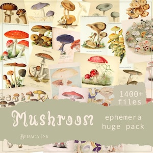 Pacote ENORME de coisas efêmeras de cogumelos, download digital, papel vintage para impressão, kit de diário de lixo, scrapbooking de colagem de cogumelos, cartões de registro no diário