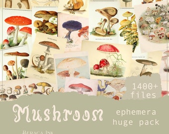 Mushroom ephemera HUGE pack, digital download, printable vintage paper, junk journal kit, mushroom collage scrapbooking, journaling cards
