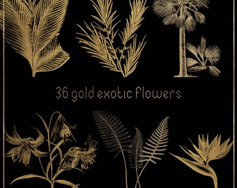 Gold exotic clipart, gold botanical flowers clipart, tropical clipart, gold tropical flowers, botanical leaves, gold clipart, gold leaves