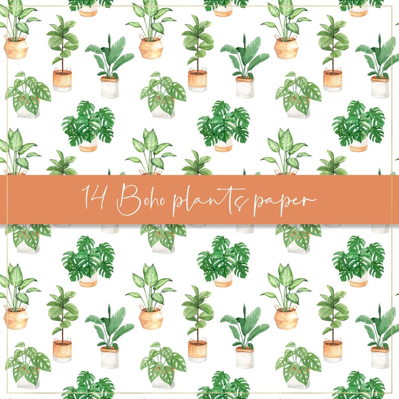 Boho Plants Digital Paper, Seamless Paper, Potted Plants, Indoor Plants ...