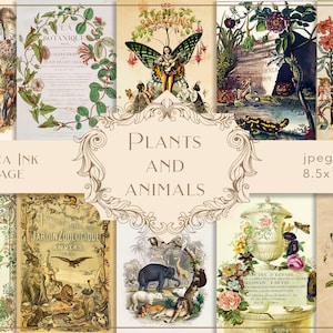 Plants and animals digital paper, book ephemera, vintage scrapbook, floral journal page, old documents, botanical paper, jungle animals