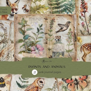 Páginas de diario de plantas y animales, diario naturalista, diario digital de bosques, hoja de collage de bosques, álbum de recortes botánico vintage