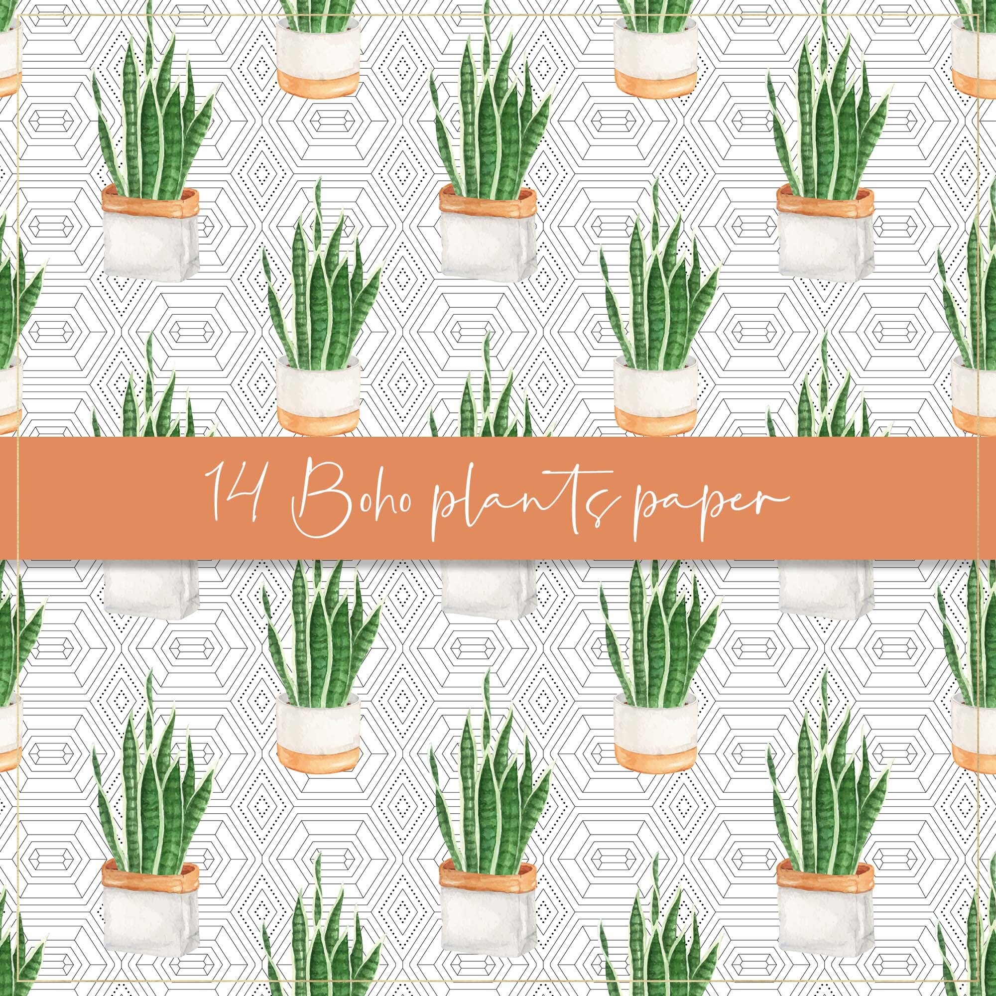 Boho Plants Digital Paper, Seamless Paper, Potted Plants, Indoor Plants ...