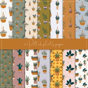 Papel digital con plantas en macetas, papel sin costuras, fondo de plantas, papel tapiz de plantas para el hogar, fondo de jardín para el hogar, papel boho, decoración boho