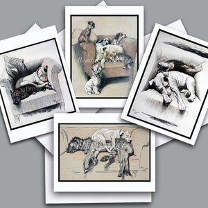 Várias raças/conjunto de 8 caixas com envelopes/presente para amantes de cães/em branco
