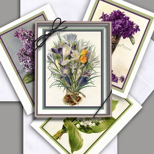 Flores de primavera Tarjetas de notas / Violetas / Crocus / Lirio del Valle / Lila / Primavera / Cumpleaños / Día de la Madre / Imágenes Vintage Conjunto en caja de 8 / Espacio en blanco