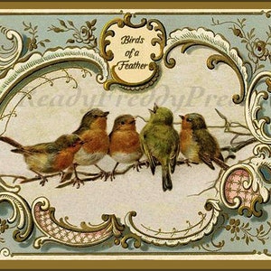 Uccelli di una piuma/Biglietti per appunti/San Valentino vittoriano/Affettuoso/Amicizia/Vuoto/8 carte con buste