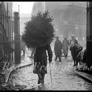 Grußkarten Weihnachten/ Saisonal/ Urlaub/ Vintage Photo Bild 1915/ Carryong Weihnachtsbaum/verpackt Satz von 8 Notecards. & Umschläge/