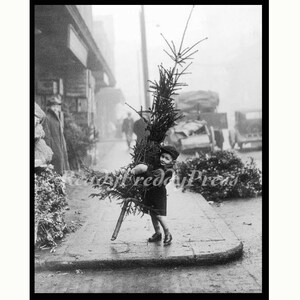 Tarjetas de notas Navidad/Vacaciones/Blanco y negro/Imagen fotográfica vintage/ Londres 1946/ Niño sosteniendo un árbol/ Juego en caja de 8 tarjetas de notas con sobres