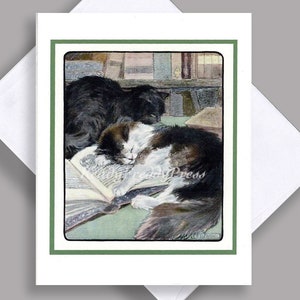 VENDA Cartão de nota único/Imagem vintage vintage/Gatos dormindo em livro aberto/Gatinhos/Livros/Amantes de gatos/Amantes de livros/Cartão único com envelope