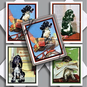 Cocker Spaniel Notecards door Albert Staehle/ Canine/ Pets/ Dogs/ Charming/ Vintage Image/ Dog lover/Boxed Set van 8 met enveloppen/ Blank