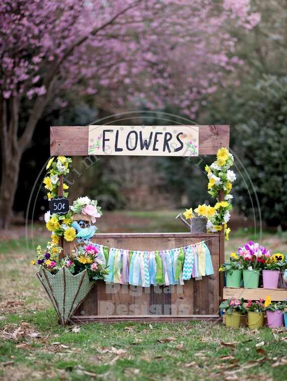 Flower Stand, Spring Photography, Digital Backdrop, Digital Background, Kids Photo, Photoshop,Flowers, Composite Backdrop