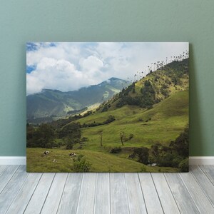Cocora Valley Meadow Cows, Colombia, 2018, Fine Art Photography Print