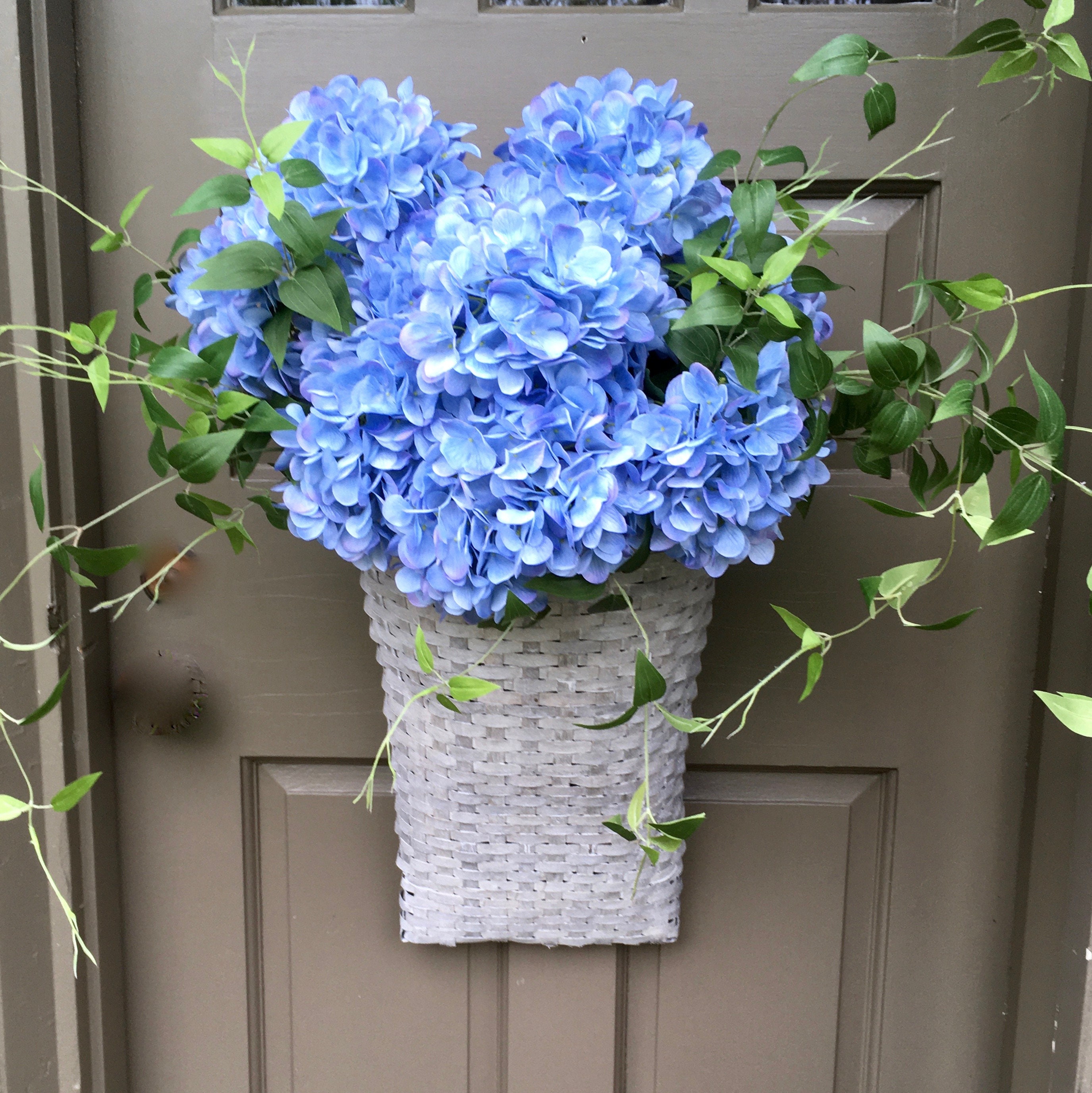 Image of Hanging basket of blue hydrangeas in park