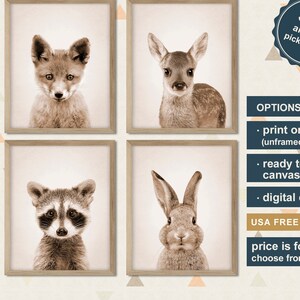May include: Set of four sepia-toned animal prints featuring a fox, deer, raccoon, and rabbit. The prints are framed in a light wood frame and are displayed on a white background. The text "90+ animals pick yours!" is displayed in a circle with a white background and black text. The text "OPTIONS TO BUY:" is displayed in black text. The text "• print on paper (unframed)" is displayed in black text. The text "• ready to hang canvas" is displayed in black text. The text "• digital download" is displayed in black text. The text "USA FREE SHIPPING" is displayed in black text. The text "price is for 4 art choose from charts" is displayed in black text. The text "ETSY.COM/SHOP/SPLANODESIGN" is displayed in black text. The text "slide to see more options" is displayed in black text.