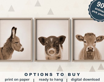 Baby Farm Animal Canvas or Paper, Farm Animal Prints Nursery, Barnyard Animal Art Prints Sepia Style, Nursery Farm Decor, Donkey Pig Cow