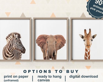 Safari Animal Photographs Nursery, Safari Animals Canvas, Zoo Animals, African Animals Baby Shower Gift, Jungle Animal Prints for Nursery