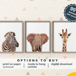Safari Animal Photographs Nursery, Safari Animals Canvas, Zoo Animals, African Animals Baby Shower Gift, Jungle Animal Prints for Nursery